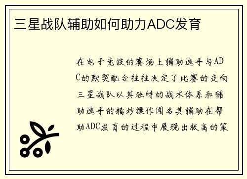 三星战队辅助如何助力ADC发育