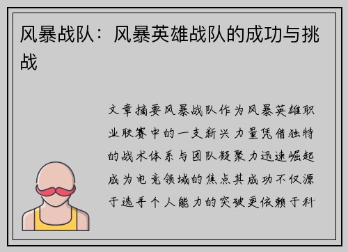 风暴战队：风暴英雄战队的成功与挑战