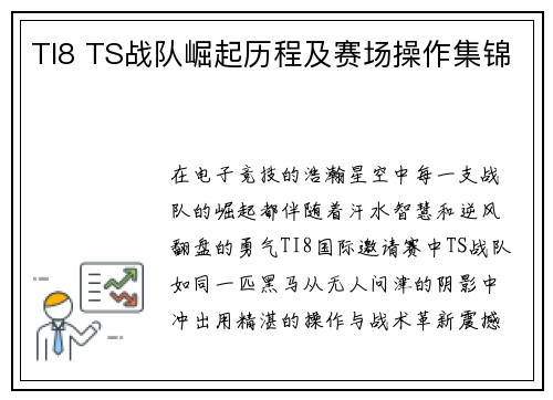 TI8 TS战队崛起历程及赛场操作集锦
