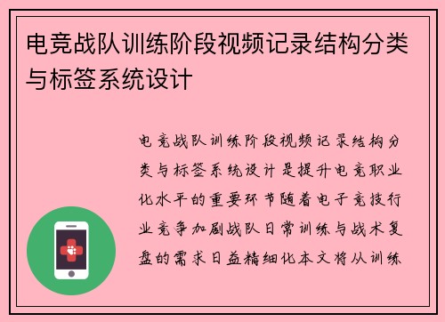 电竞战队训练阶段视频记录结构分类与标签系统设计